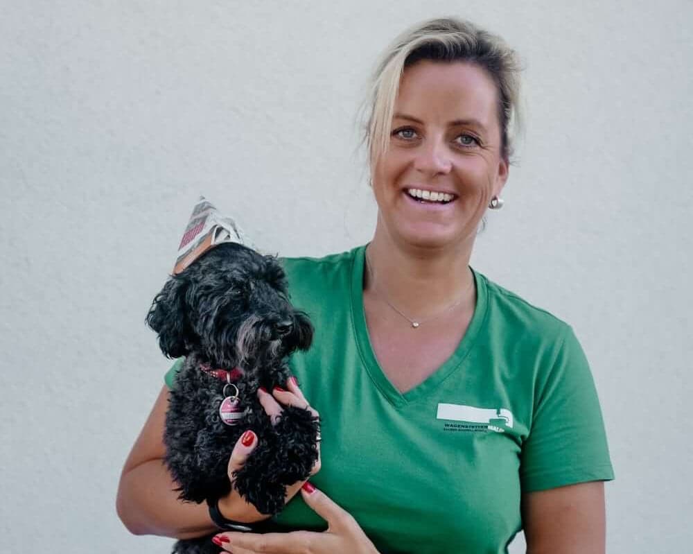 Generation & Übergabe